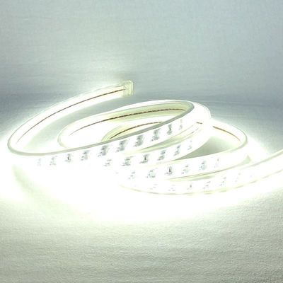 超明るい180leds/M単一色LEDのストリップ220v造る輪郭を描くことのために防水するため